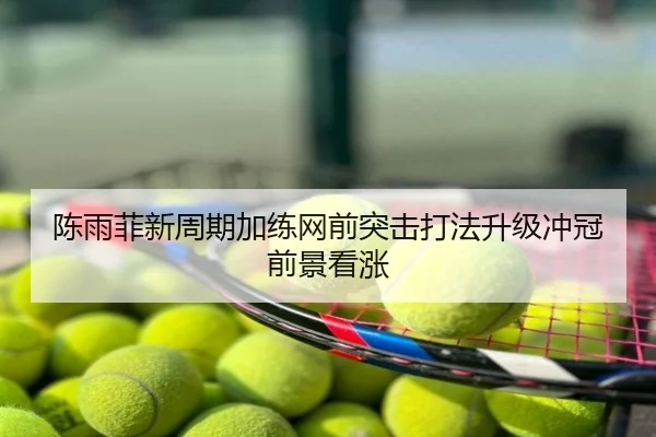 陈雨菲新周期加练网前突击打法升级冲冠前景看涨